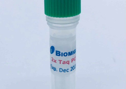 2x Taq PCR Mix