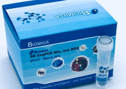 2x qPCR Mix, SBGR, Low Rox