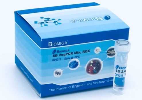 2x qPCR Mix, SBGR, Rox