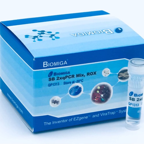 2x qPCR Mix, SBGR, Rox