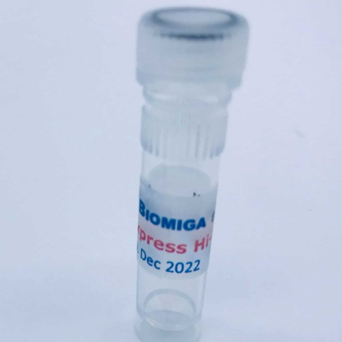 Express Hi Fi DNA Polymerase