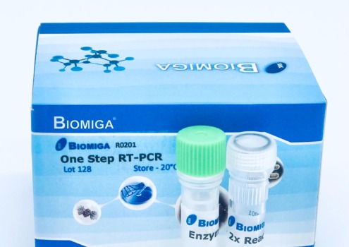 One-Step RT-PCR Kit