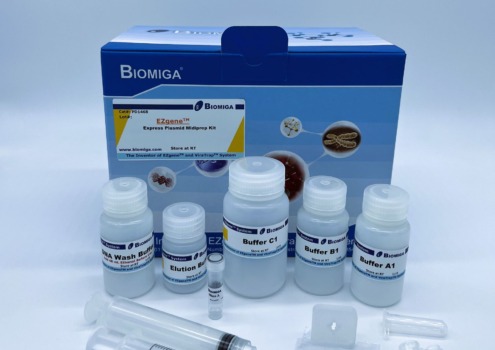 BioMiga EZgene Express Plasmid Midiprep Kit voor snelle isolatie van plasmide DNA uit bacterieculturen