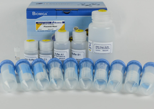 BioMiga EZgene Plasmid Maxiprep Kit voor grootschalige DNA-extractie.