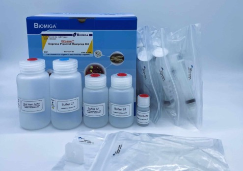 BioMiga EZgene Express Plasmid Maxiprep Kit voor snelle DNA-isolatie.