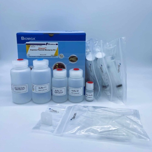 BioMiga EZgene Express Plasmid Maxiprep Kit voor snelle DNA-isolatie.