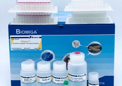 BioMiga Chaotropic Free 96-well Kit voor efficiënte high-throughput plasmide isolatie