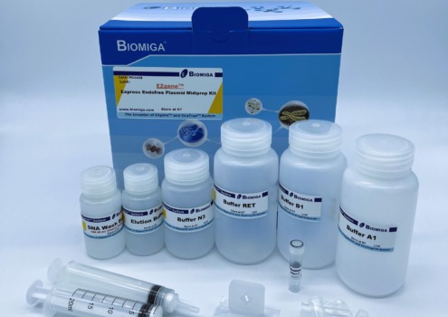 BioMiga kit voor EndoFree Plasmid Midiprep extractie.