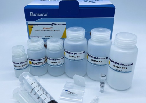 BioMiga EZgene Express EndoFree Plasmid Maxiprep Kit voor grootschalige, endotoxine-vrije DNA zuivering.