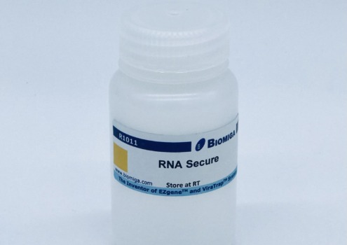 Flesje BioMiga RNAsecure Solution voor stabilisatie en bescherming van RNA in weefselmonsters.
