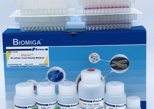 BioMiga EZgene 96-well Yeast Plasmid Kit voor snelle gist DNA-extractie.