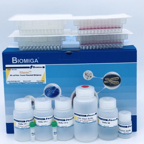 BioMiga EZgene 96-well Yeast Plasmid Kit voor snelle gist DNA-extractie.